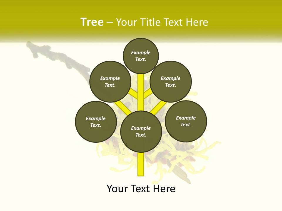 A Yellow Flower With A White Background PowerPoint Template