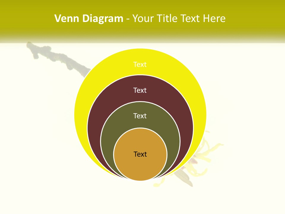 A Yellow Flower With A White Background PowerPoint Template