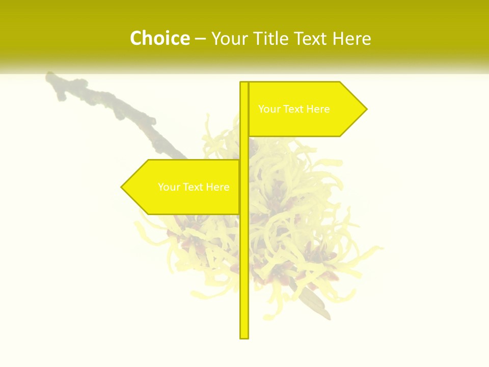 A Yellow Flower With A White Background PowerPoint Template