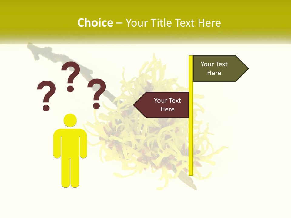 A Yellow Flower With A White Background PowerPoint Template