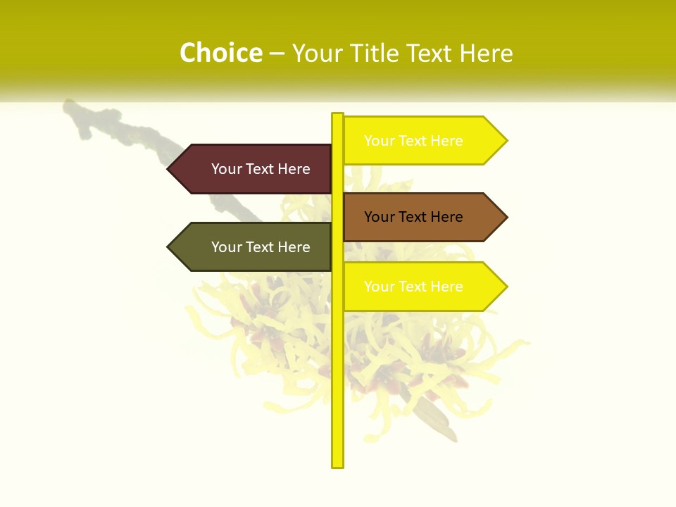 A Yellow Flower With A White Background PowerPoint Template