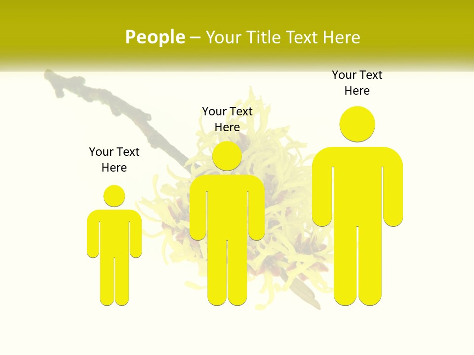 A Yellow Flower With A White Background PowerPoint Template