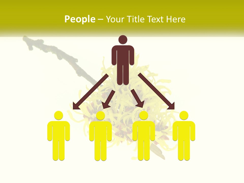 A Yellow Flower With A White Background PowerPoint Template