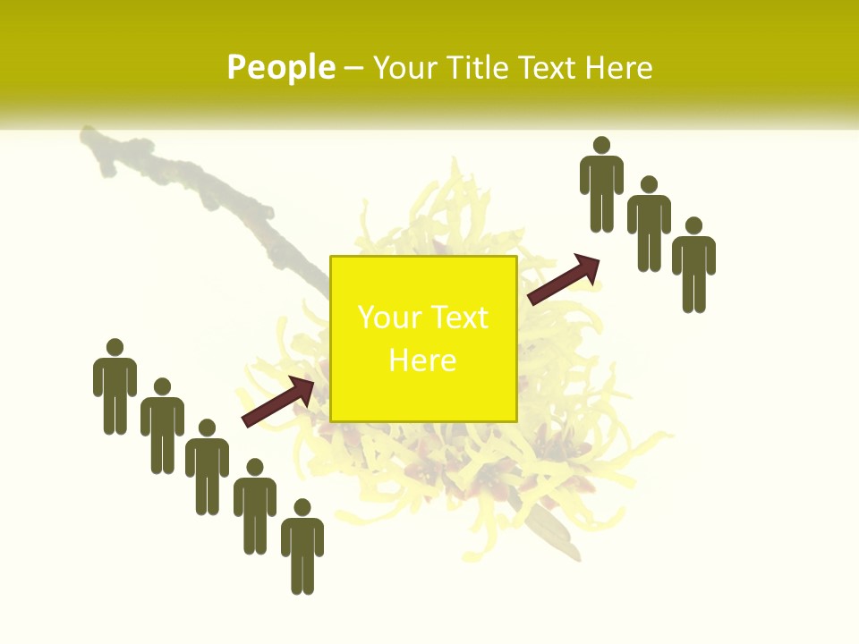 A Yellow Flower With A White Background PowerPoint Template