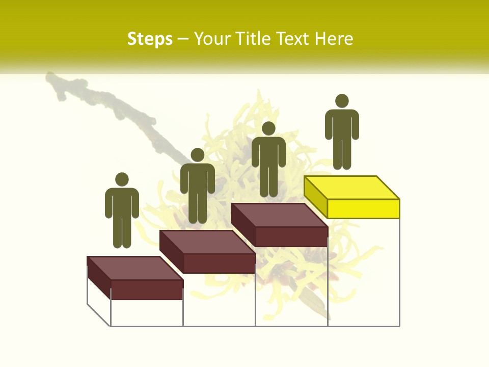 A Yellow Flower With A White Background PowerPoint Template