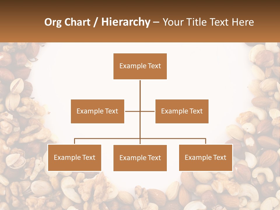 A Group Of Nuts On A White Background PowerPoint Template