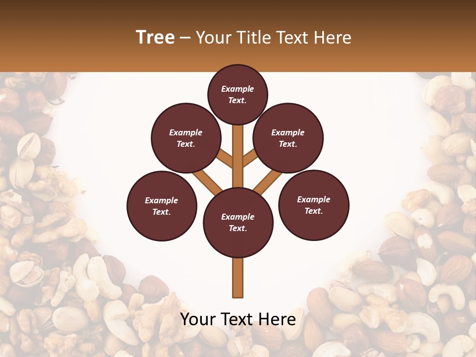 A Group Of Nuts On A White Background PowerPoint Template