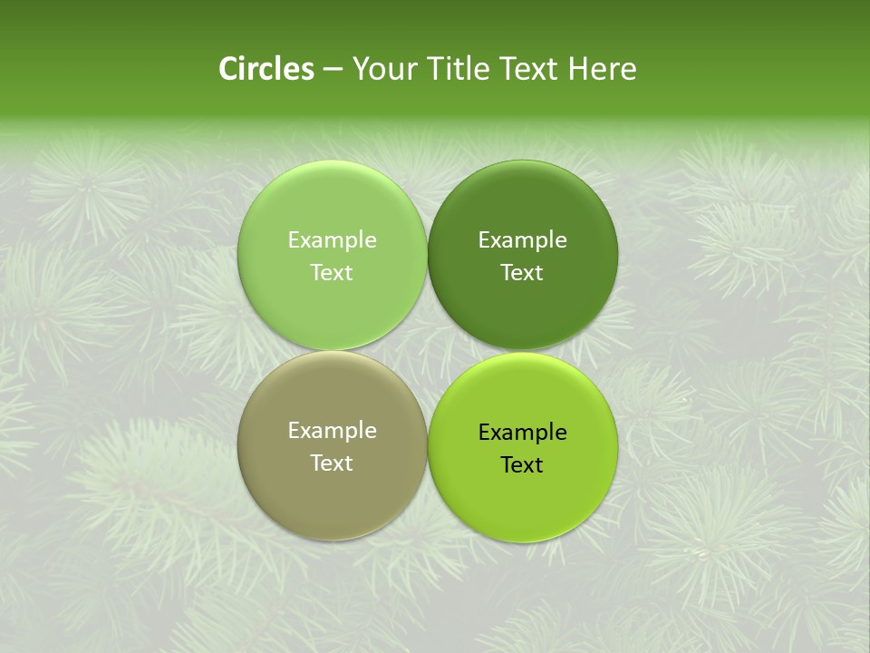 A Bunch Of Green Pine Needles Powerpoint Template PowerPoint Template