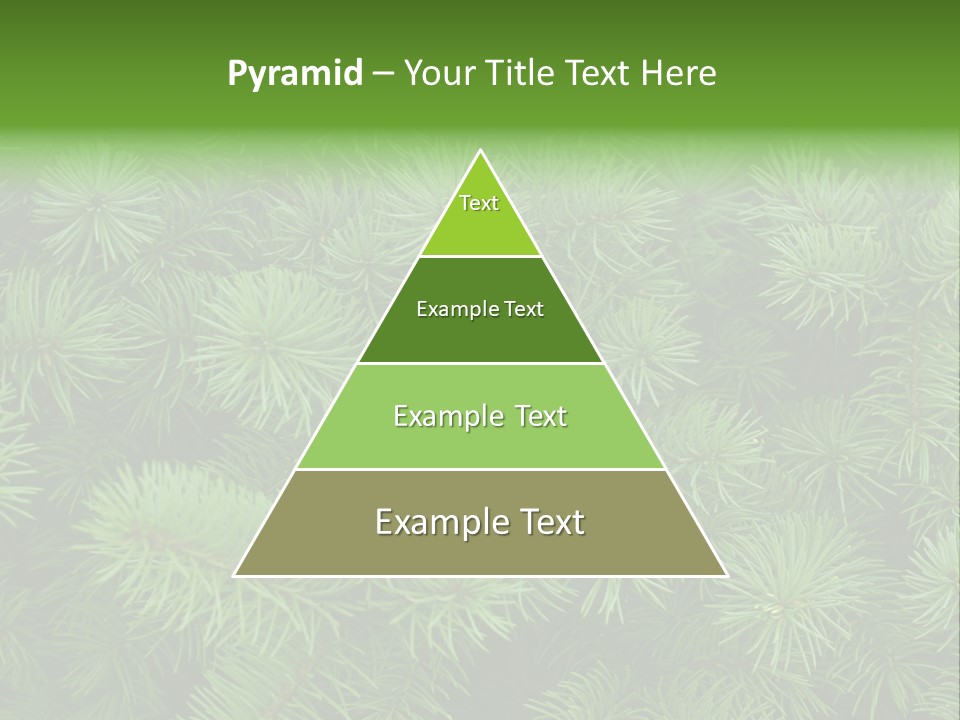 A Bunch Of Green Pine Needles Powerpoint Template PowerPoint Template