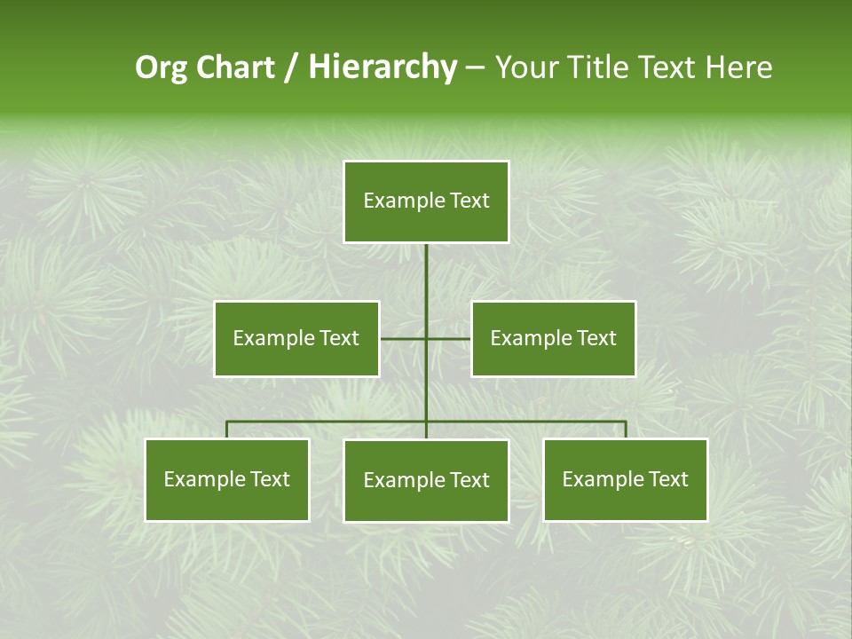 A Bunch Of Green Pine Needles Powerpoint Template PowerPoint Template