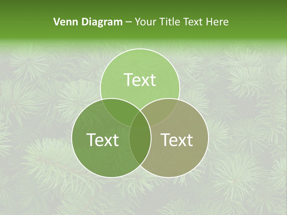 A Bunch Of Green Pine Needles Powerpoint Template PowerPoint Template