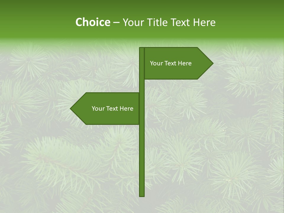 A Bunch Of Green Pine Needles Powerpoint Template PowerPoint Template