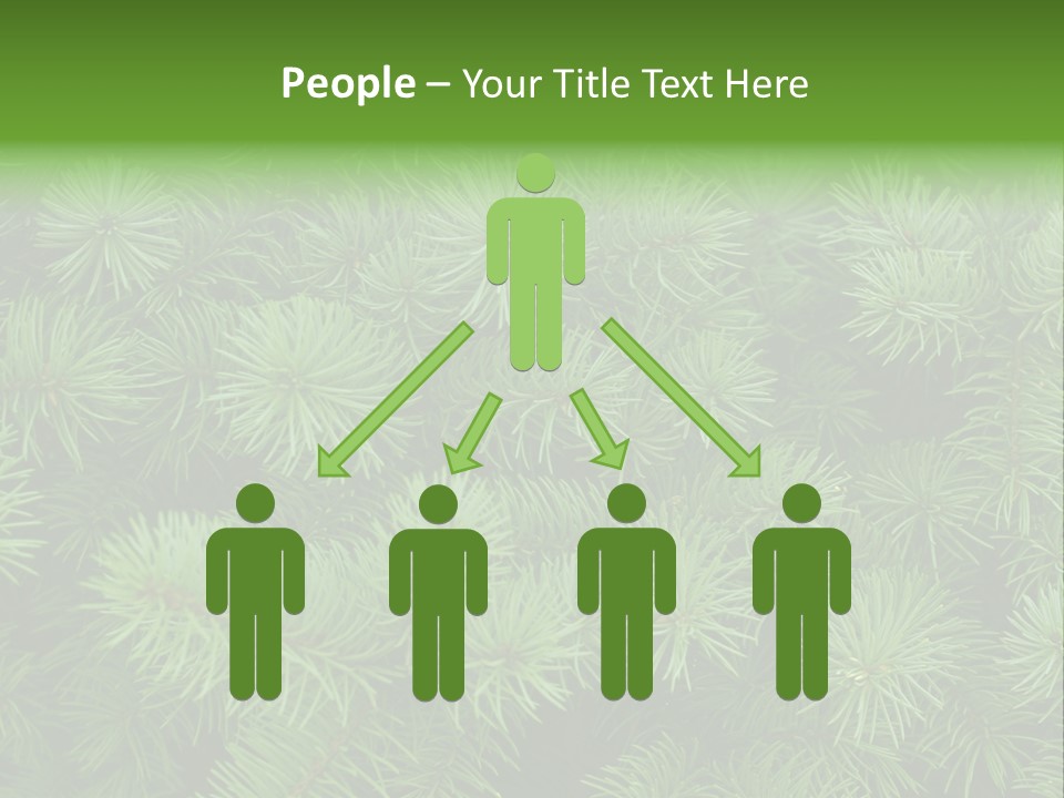 A Bunch Of Green Pine Needles Powerpoint Template PowerPoint Template