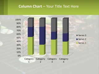 A Grill With Meat And Vegetables On It PowerPoint Template
