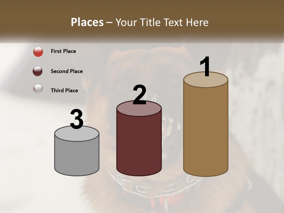 A German Shepard Dog With His Mouth Open In The Snow PowerPoint Template