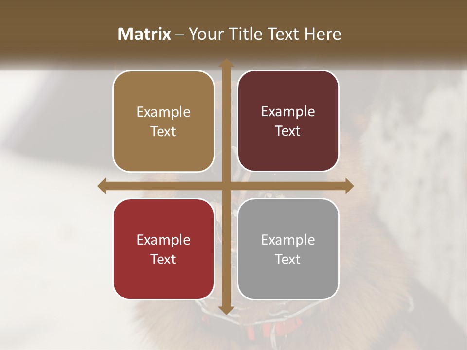 A German Shepard Dog With His Mouth Open In The Snow PowerPoint Template