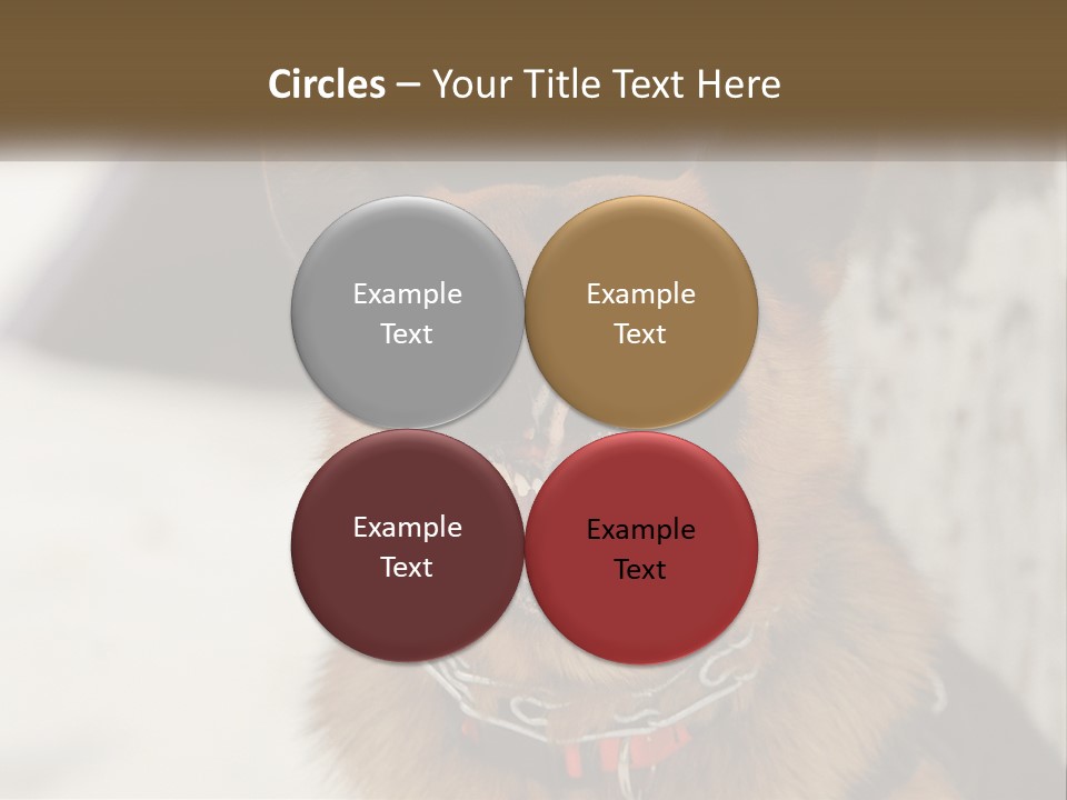 A German Shepard Dog With His Mouth Open In The Snow PowerPoint Template