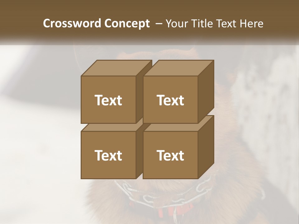 A German Shepard Dog With His Mouth Open In The Snow PowerPoint Template