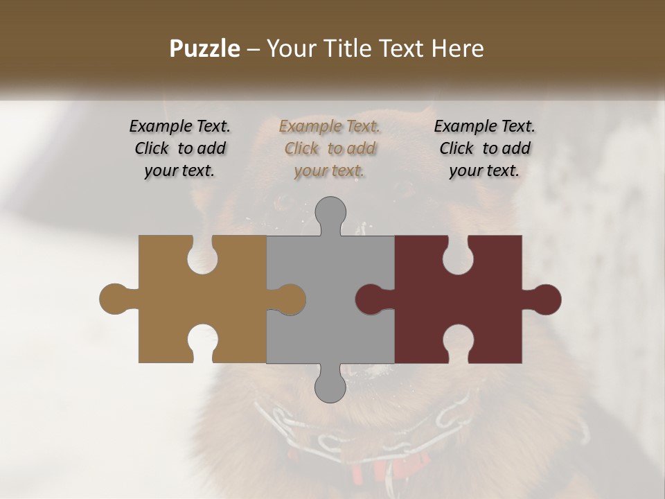 A German Shepard Dog With His Mouth Open In The Snow PowerPoint Template