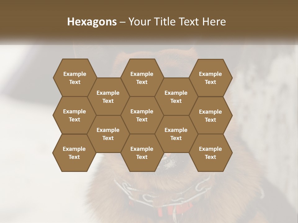 A German Shepard Dog With His Mouth Open In The Snow PowerPoint Template