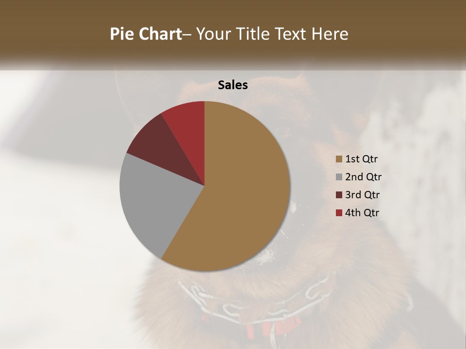 A German Shepard Dog With His Mouth Open In The Snow PowerPoint Template