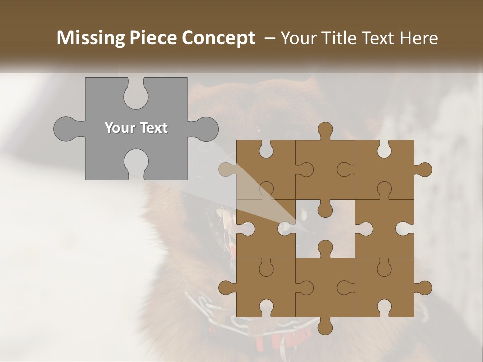 A German Shepard Dog With His Mouth Open In The Snow PowerPoint Template