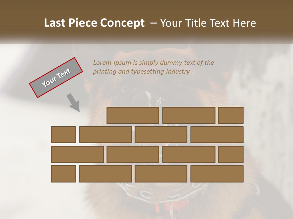 A German Shepard Dog With His Mouth Open In The Snow PowerPoint Template