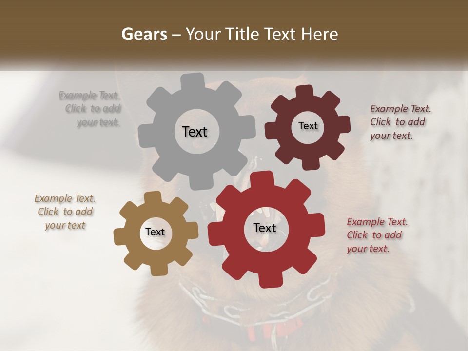 A German Shepard Dog With His Mouth Open In The Snow PowerPoint Template