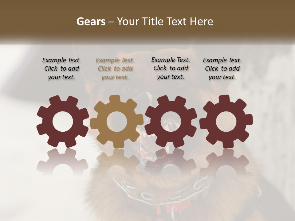 A German Shepard Dog With His Mouth Open In The Snow PowerPoint Template