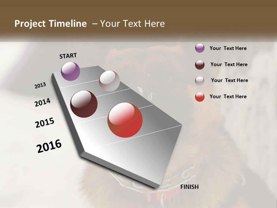 A German Shepard Dog With His Mouth Open In The Snow PowerPoint Template