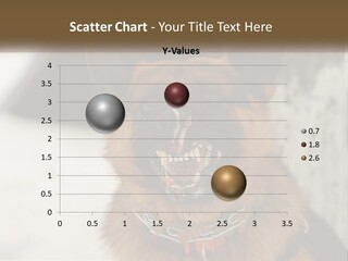 A German Shepard Dog With His Mouth Open In The Snow PowerPoint Template