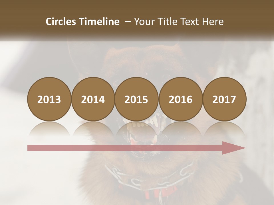 A German Shepard Dog With His Mouth Open In The Snow PowerPoint Template