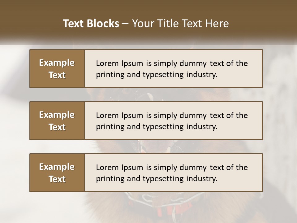 A German Shepard Dog With His Mouth Open In The Snow PowerPoint Template
