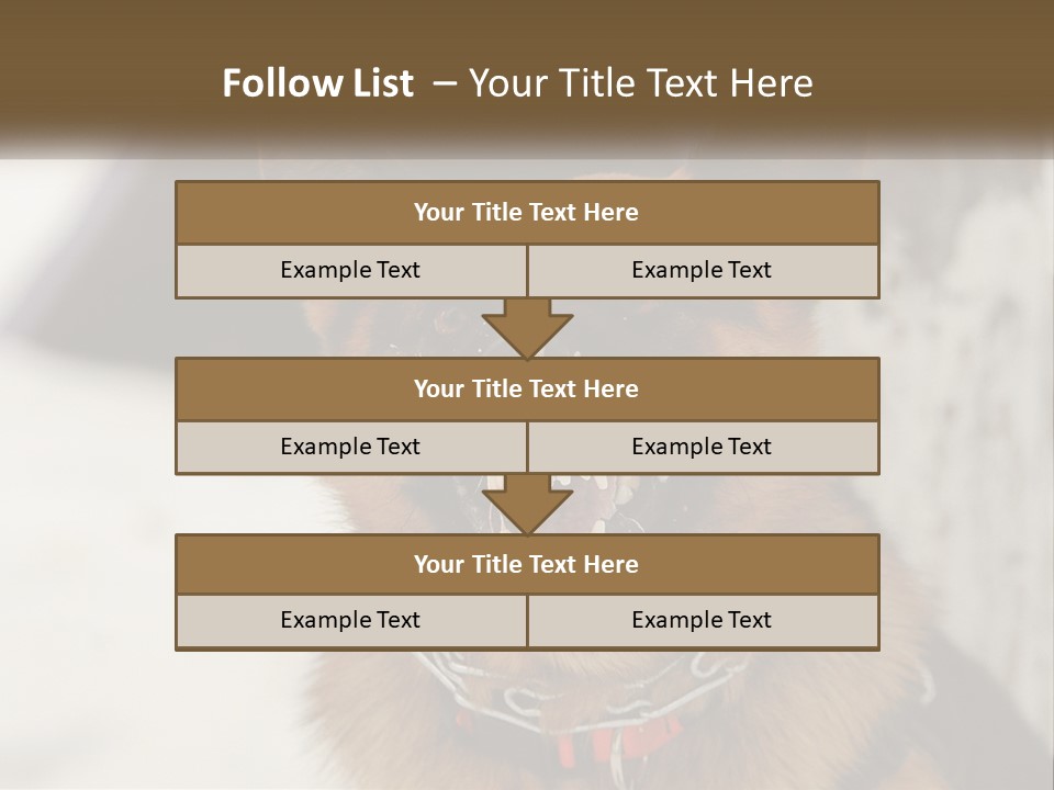 A German Shepard Dog With His Mouth Open In The Snow PowerPoint Template