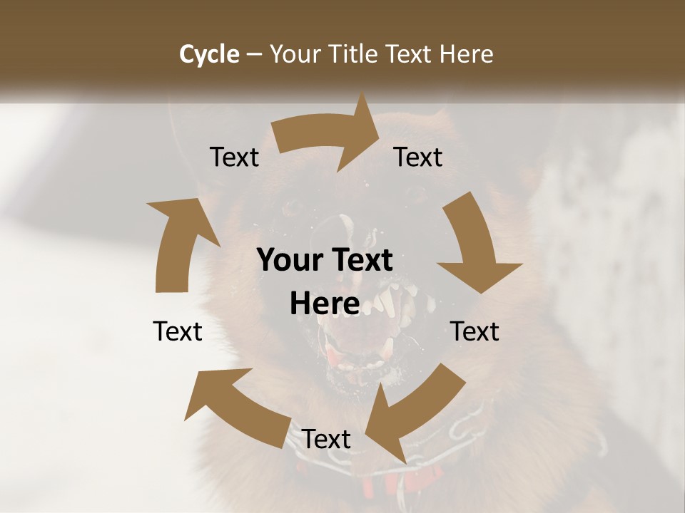 A German Shepard Dog With His Mouth Open In The Snow PowerPoint Template