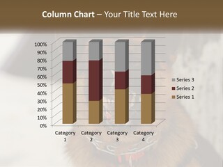 A German Shepard Dog With His Mouth Open In The Snow PowerPoint Template