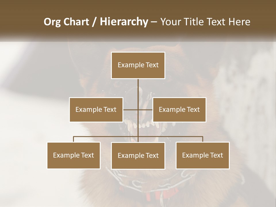 A German Shepard Dog With His Mouth Open In The Snow PowerPoint Template