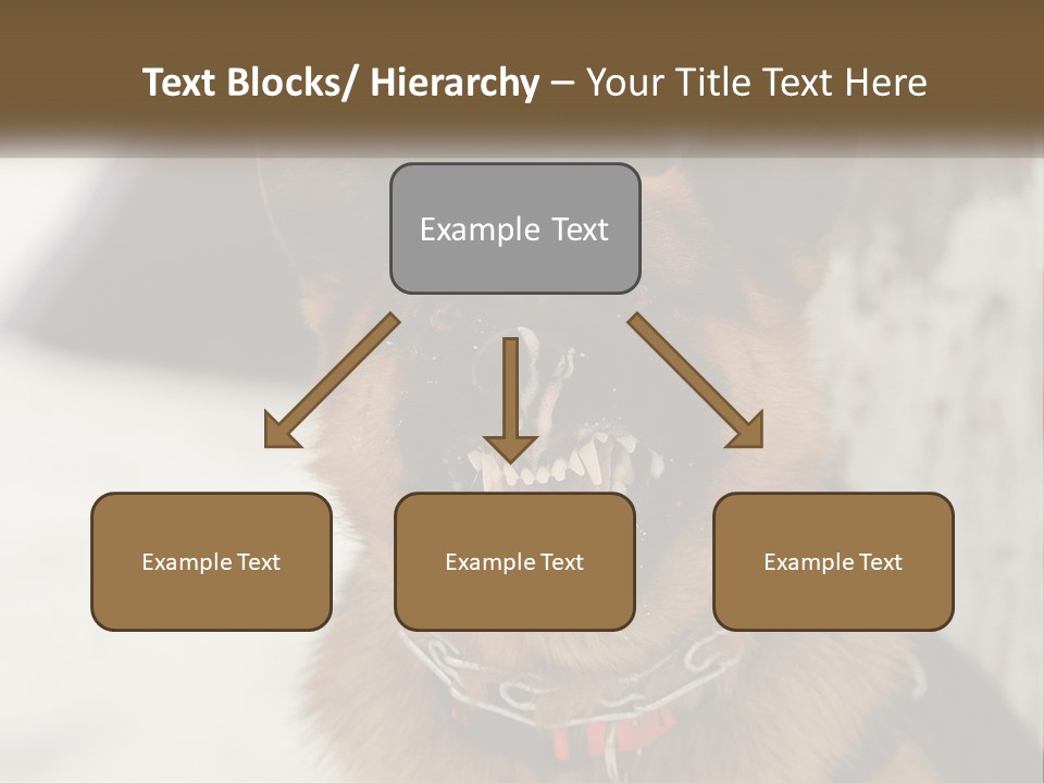 A German Shepard Dog With His Mouth Open In The Snow PowerPoint Template
