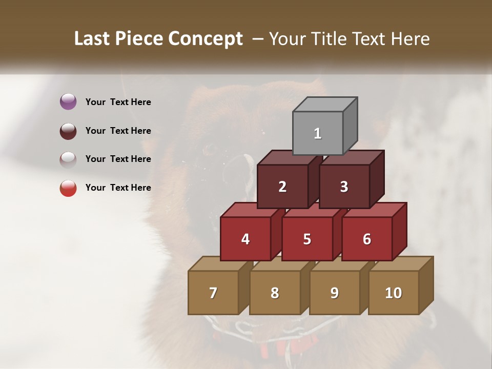 A German Shepard Dog With His Mouth Open In The Snow PowerPoint Template