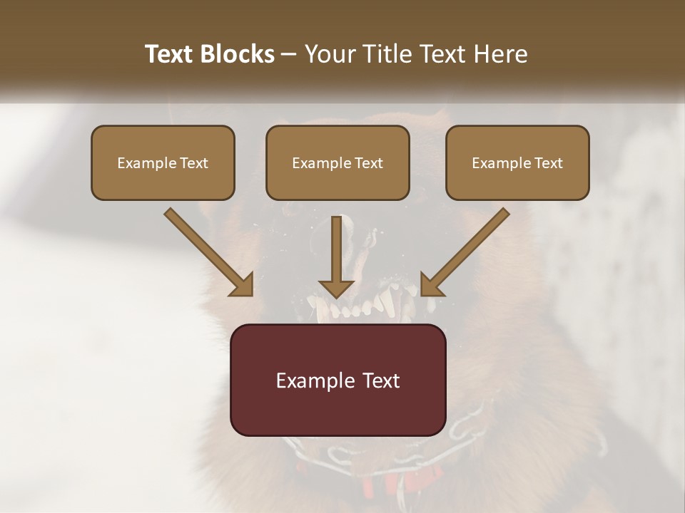 A German Shepard Dog With His Mouth Open In The Snow PowerPoint Template