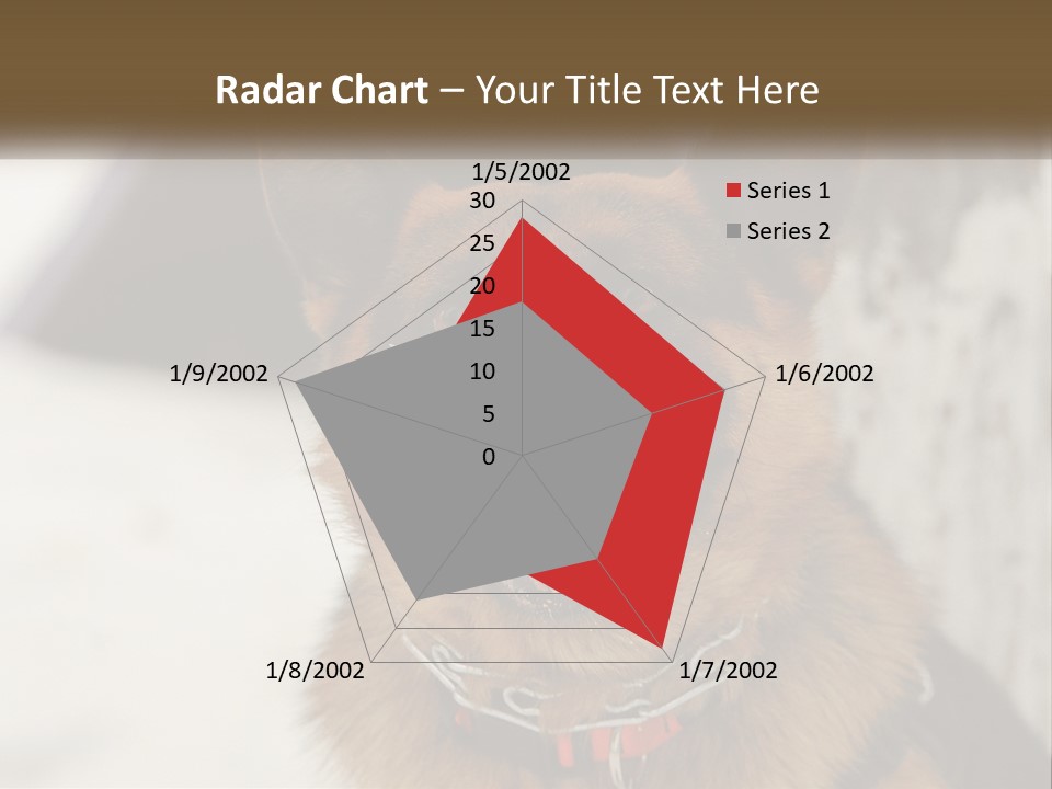 A German Shepard Dog With His Mouth Open In The Snow PowerPoint Template