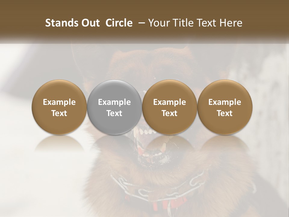 A German Shepard Dog With His Mouth Open In The Snow PowerPoint Template