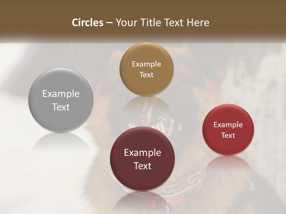 A German Shepard Dog With His Mouth Open In The Snow PowerPoint Template