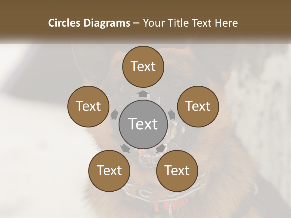 A German Shepard Dog With His Mouth Open In The Snow PowerPoint Template