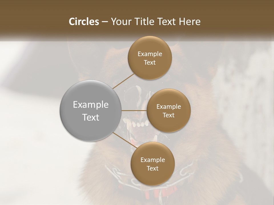 A German Shepard Dog With His Mouth Open In The Snow PowerPoint Template