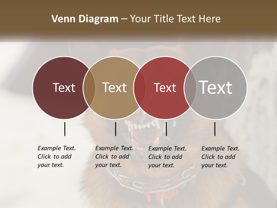 A German Shepard Dog With His Mouth Open In The Snow PowerPoint Template