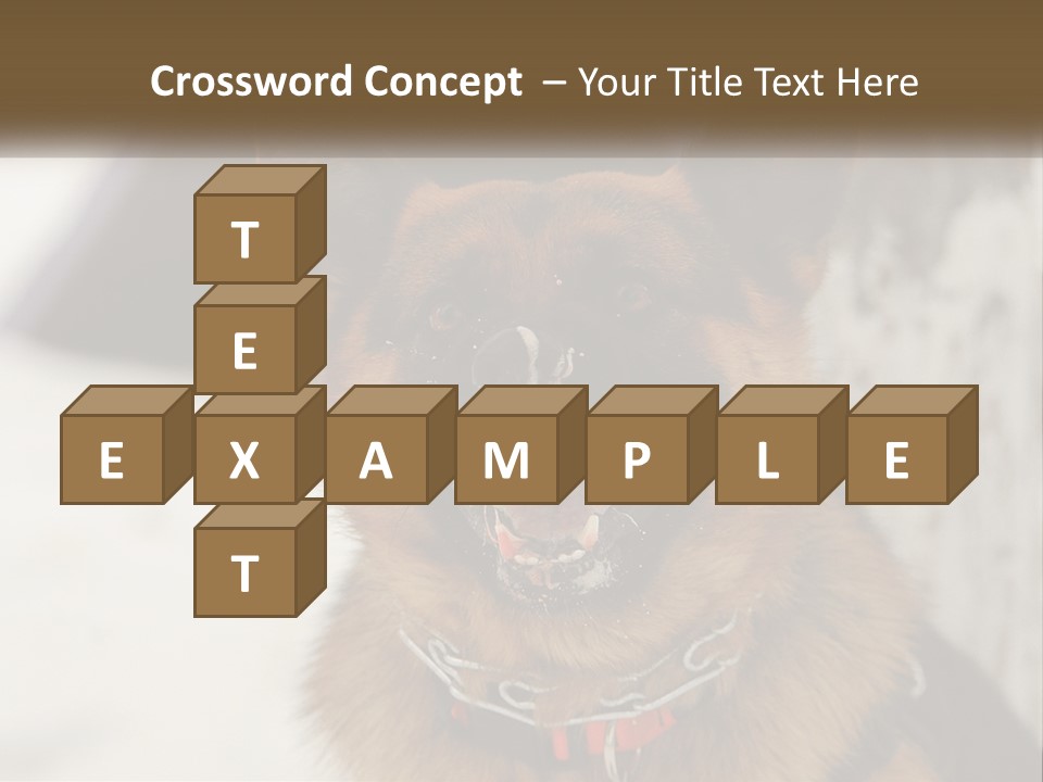 A German Shepard Dog With His Mouth Open In The Snow PowerPoint Template