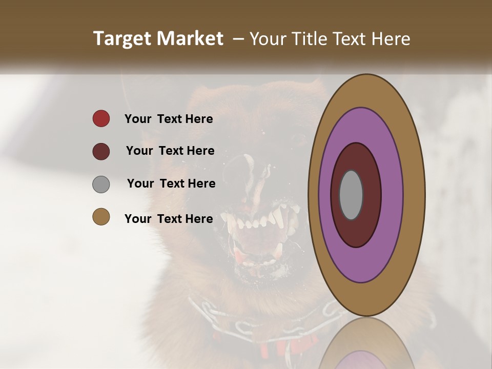 A German Shepard Dog With His Mouth Open In The Snow PowerPoint Template