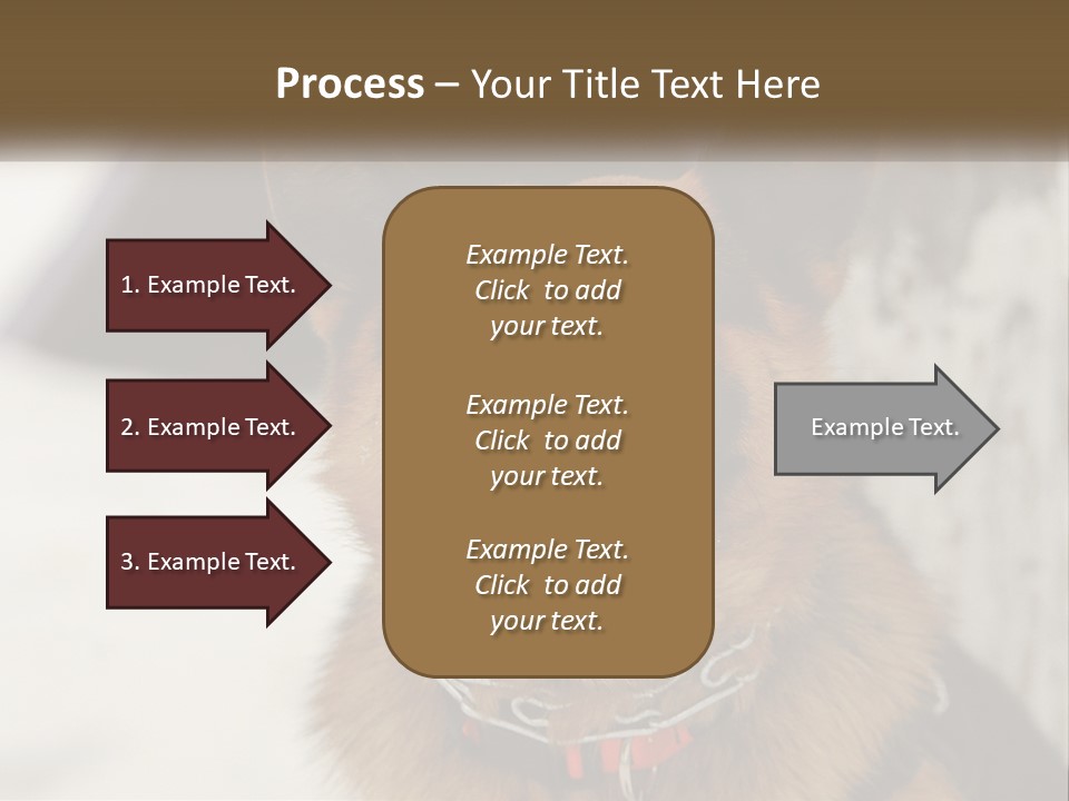 A German Shepard Dog With His Mouth Open In The Snow PowerPoint Template