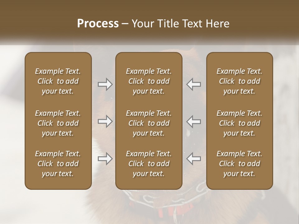 A German Shepard Dog With His Mouth Open In The Snow PowerPoint Template